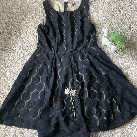Lily Rose Dresses & Skirts - Lily Rose behive pattern vintage mesh mid summer evening dress. Super hip